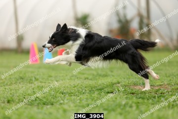 IMG_3904.jpg