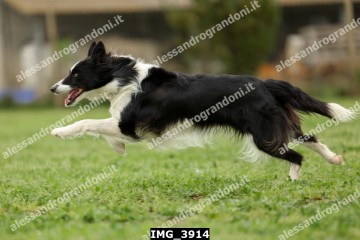 IMG_3914.jpg