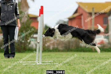 IMG_3982.jpg