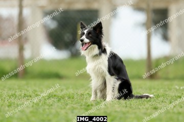 IMG_4002.jpg