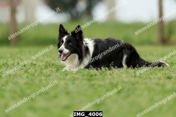 IMG_4006.jpg