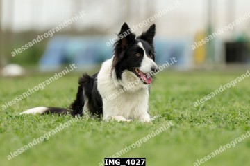 IMG_4027.jpg