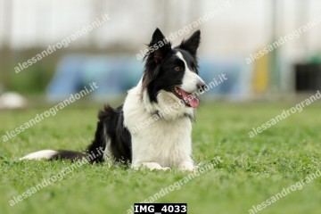 IMG_4033.jpg