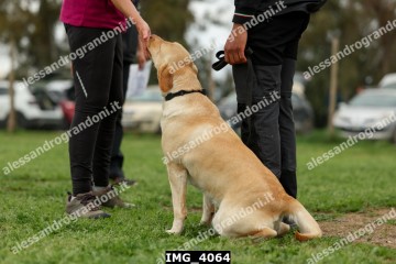 IMG_4064.jpg