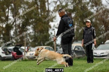 IMG_4073.jpg