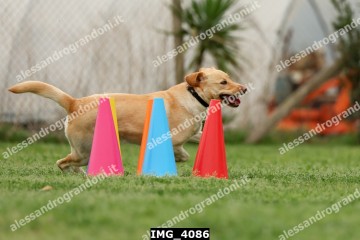 IMG_4086.jpg