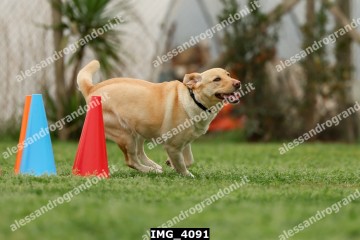 IMG_4091.jpg