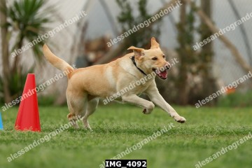 IMG_4092.jpg