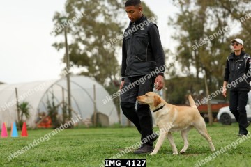 IMG_4127.jpg