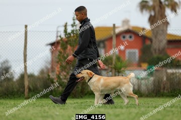 IMG_4156.jpg