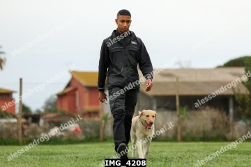 IMG_4208.jpg