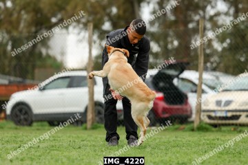 IMG_4220.jpg