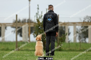 IMG_4285.jpg