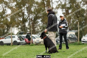 IMG_4392.jpg