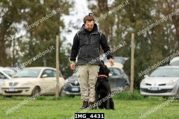 IMG_4431.jpg