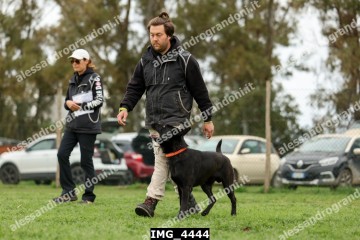 IMG_4444.jpg