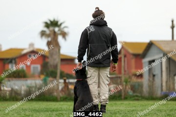 IMG_4462.jpg