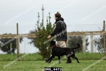 IMG_4472.jpg