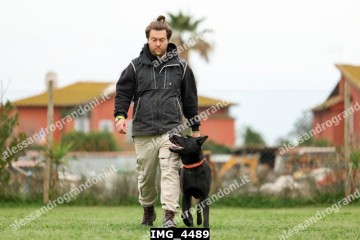 IMG_4489.jpg