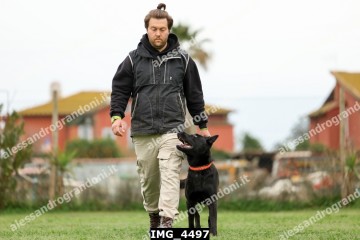 IMG_4497.jpg