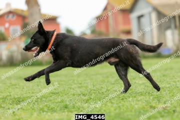 IMG_4546.jpg