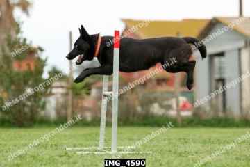IMG_4590.jpg