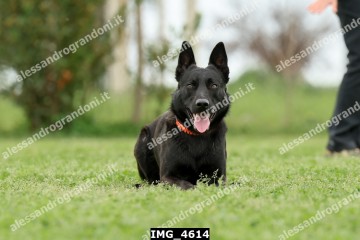 IMG_4614.jpg
