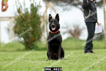 IMG_4623.jpg