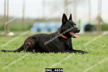 IMG_4656.jpg