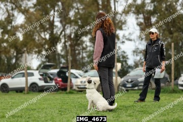 IMG_4673.jpg