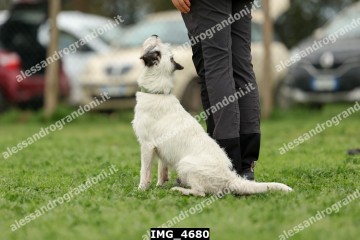 IMG_4680.jpg