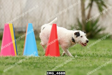 IMG_4688.jpg