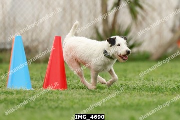 IMG_4690.jpg