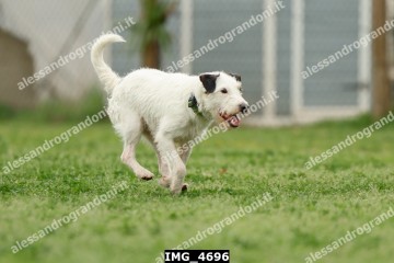 IMG_4696.jpg