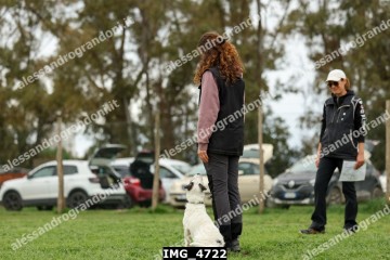 IMG_4722.jpg