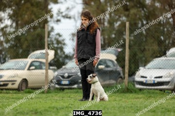 IMG_4736.jpg