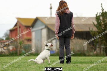 IMG_4754.jpg