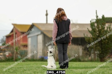 IMG_4758.jpg