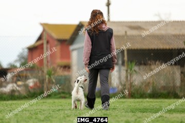IMG_4764.jpg