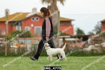 IMG_4775.jpg