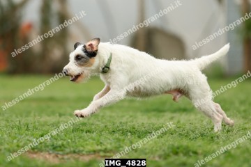 IMG_4828.jpg