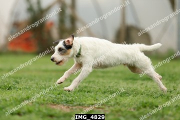 IMG_4829.jpg