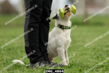 IMG_4864.jpg