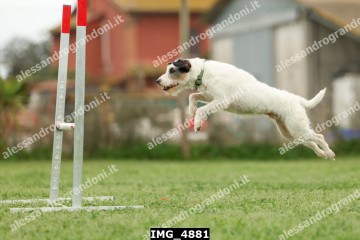 IMG_4881.jpg