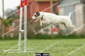 IMG_4883.jpg