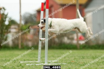 IMG_4885.jpg