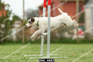 IMG_4887.jpg