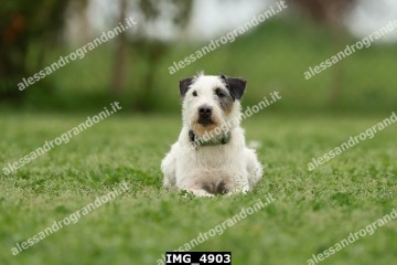 IMG_4903.jpg