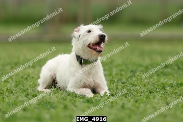 IMG_4916.jpg