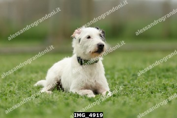 IMG_4919.jpg